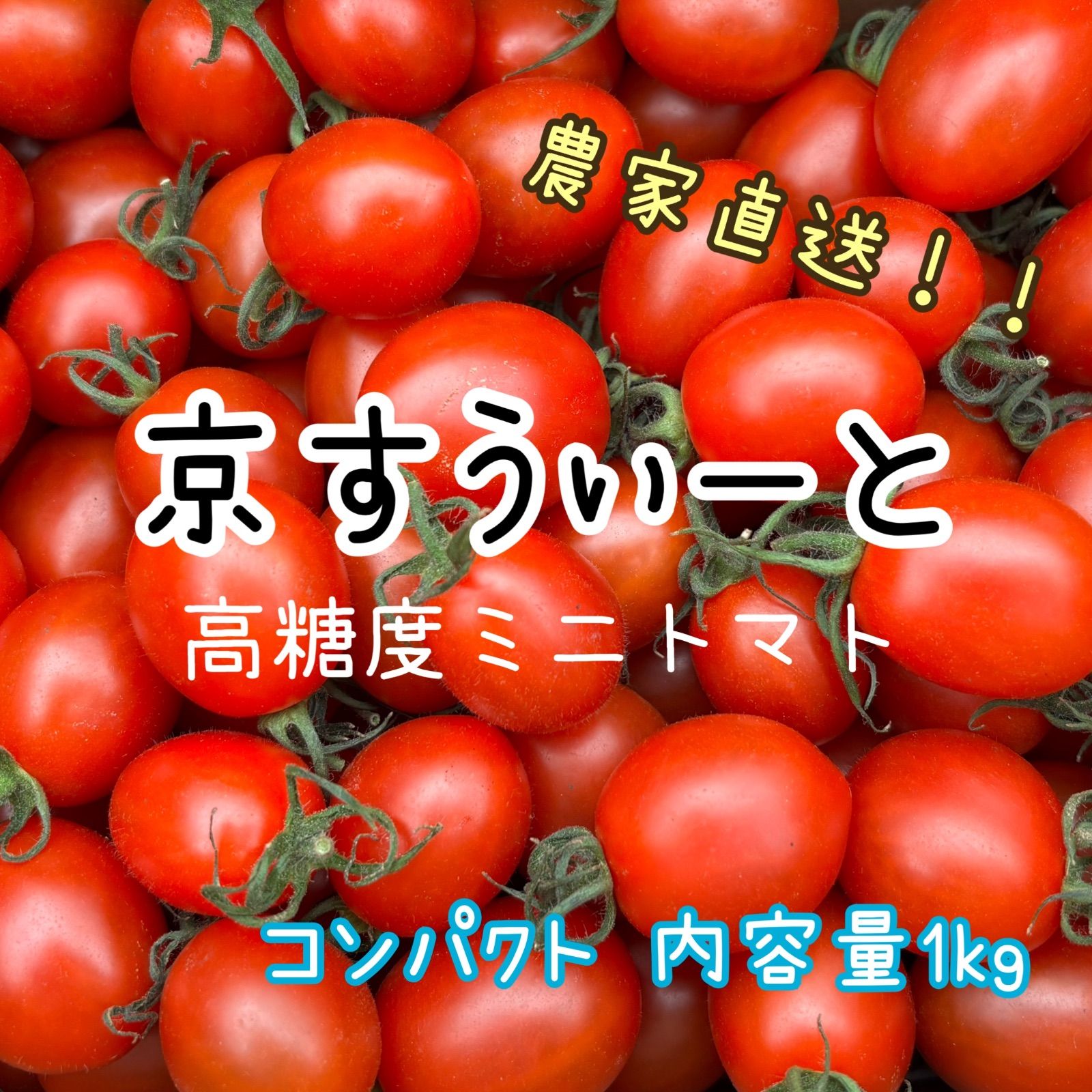 京すうぃーと1kg】コンパクト 京都産 フルーツミニトマト - メルカリ