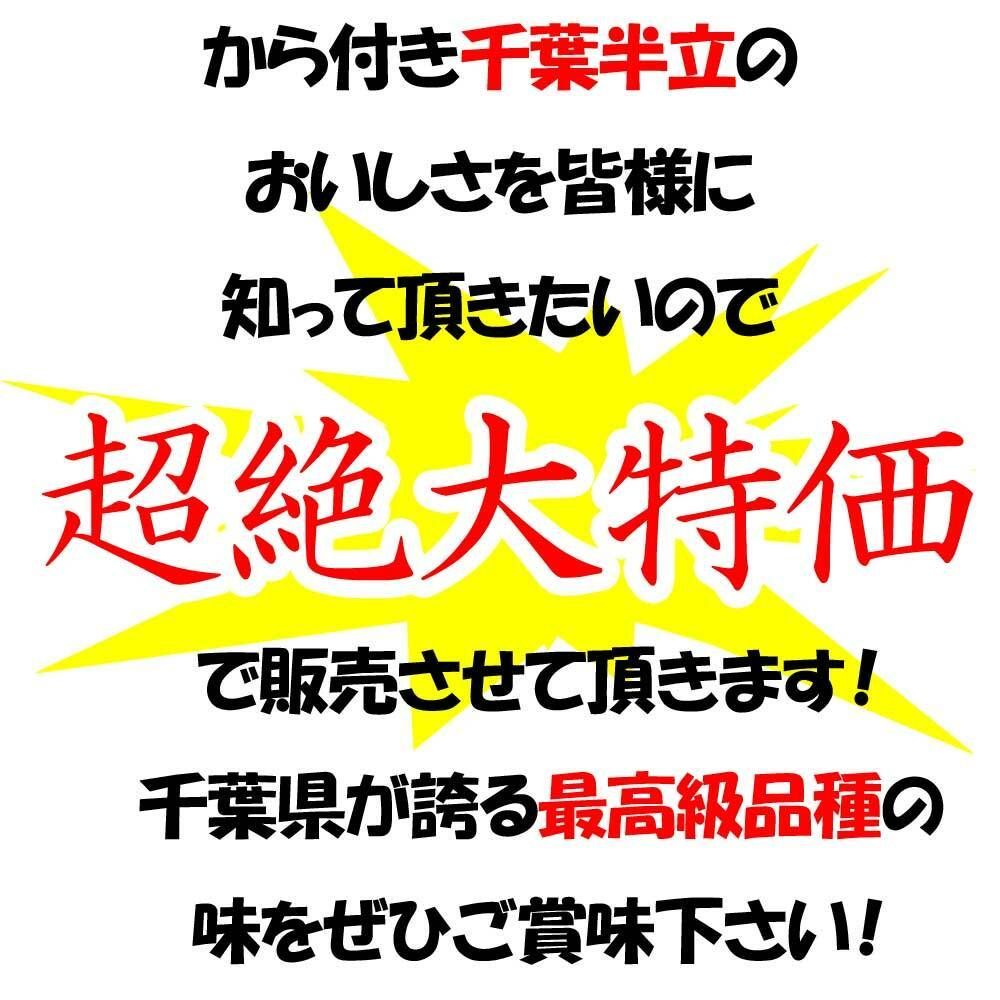 新豆　【大特価】お試し 千葉県産千葉半立 さや煎り落花生200g(100g×2袋)　国産 おつまみ グルメ　おやつ　無添加