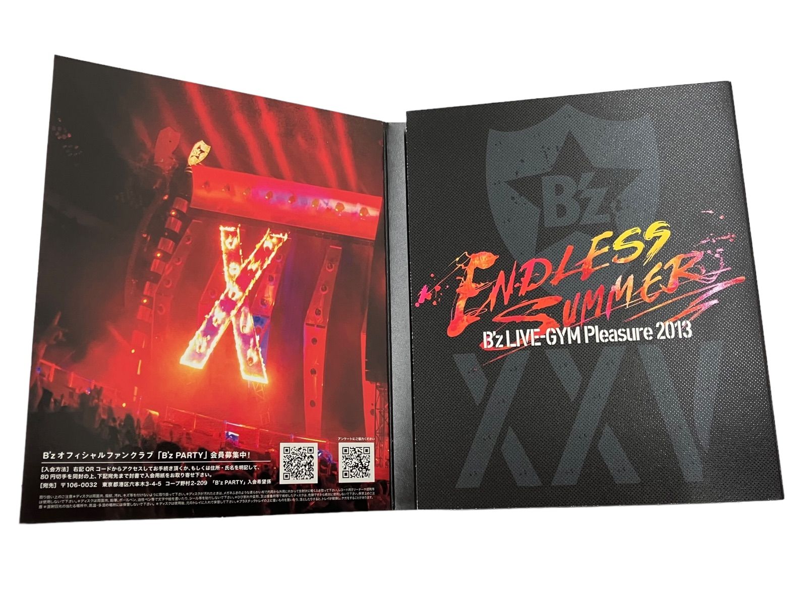 b'z LIVE-GYM Pleasure 2013 ENDLESS SUMMER -XXV BEST- blu-ray 