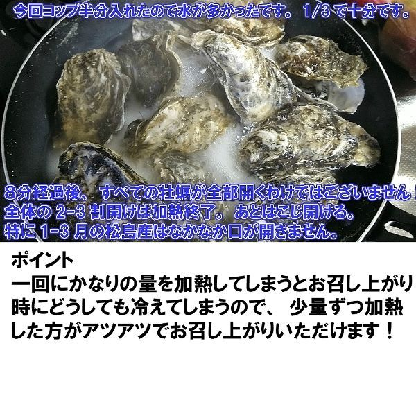 牡蠣 ＳＳ８ｋｇ【約160粒】 8キロ 殻付き 牡蠣 殻付き 牡蛎 松島牡蠣屋-5