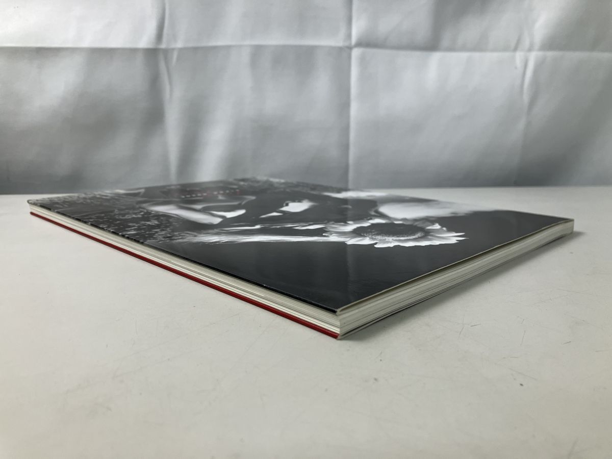 細江英公の写真絵本[妖精物語]ルナ・ロッサ 新潮社 ルナ・ロッサ 細江英公の写真絵本「妖精物語」 Luna rossa EIKOH