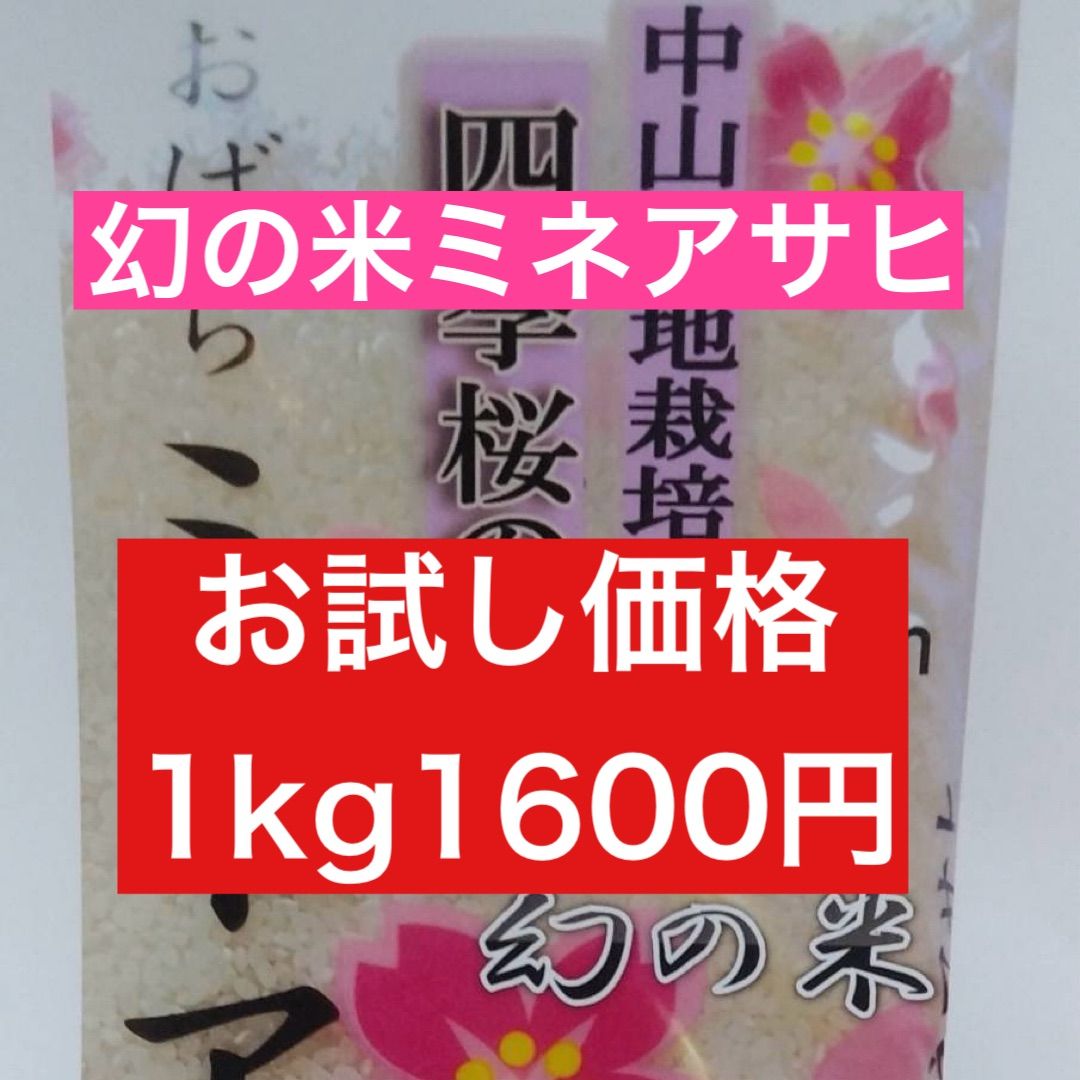 ④お米 令和６年新米 ミネアサヒ１キロ 長