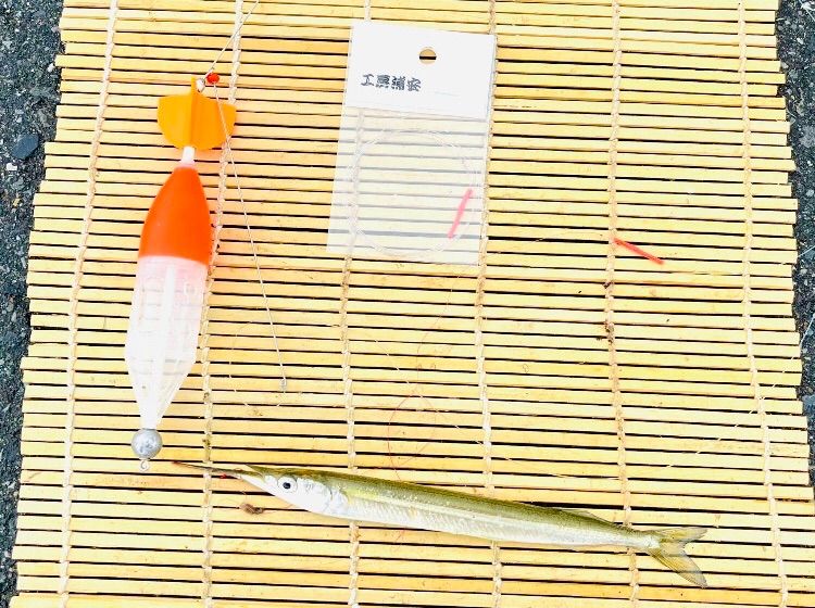 らくらくメルカリ便　青白ライオネル　デッキ　40枚 クツワ クツワ 筆箱 両面 コンパクト タフキング ソードシールド