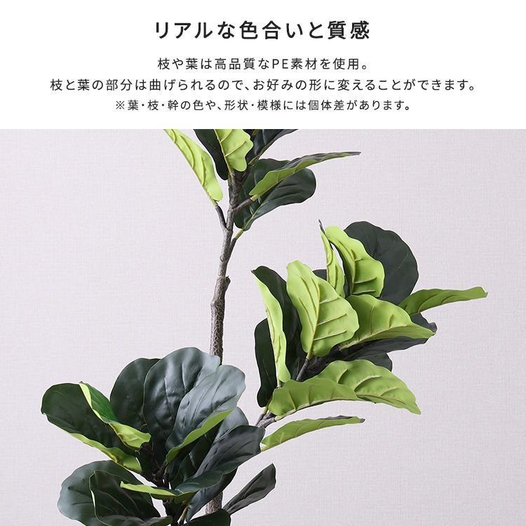 お手入れ簡単フェイクグリーン フィカス