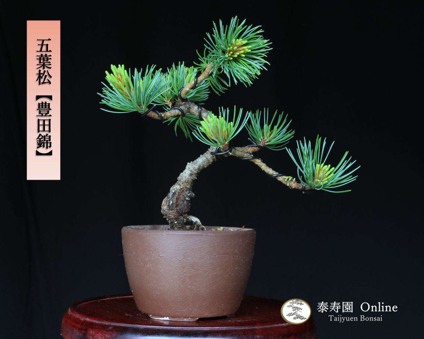 Yahoo!オークション - 【谷樂方山】染付山水図丸鉢 盆栽／鉢／植木鉢