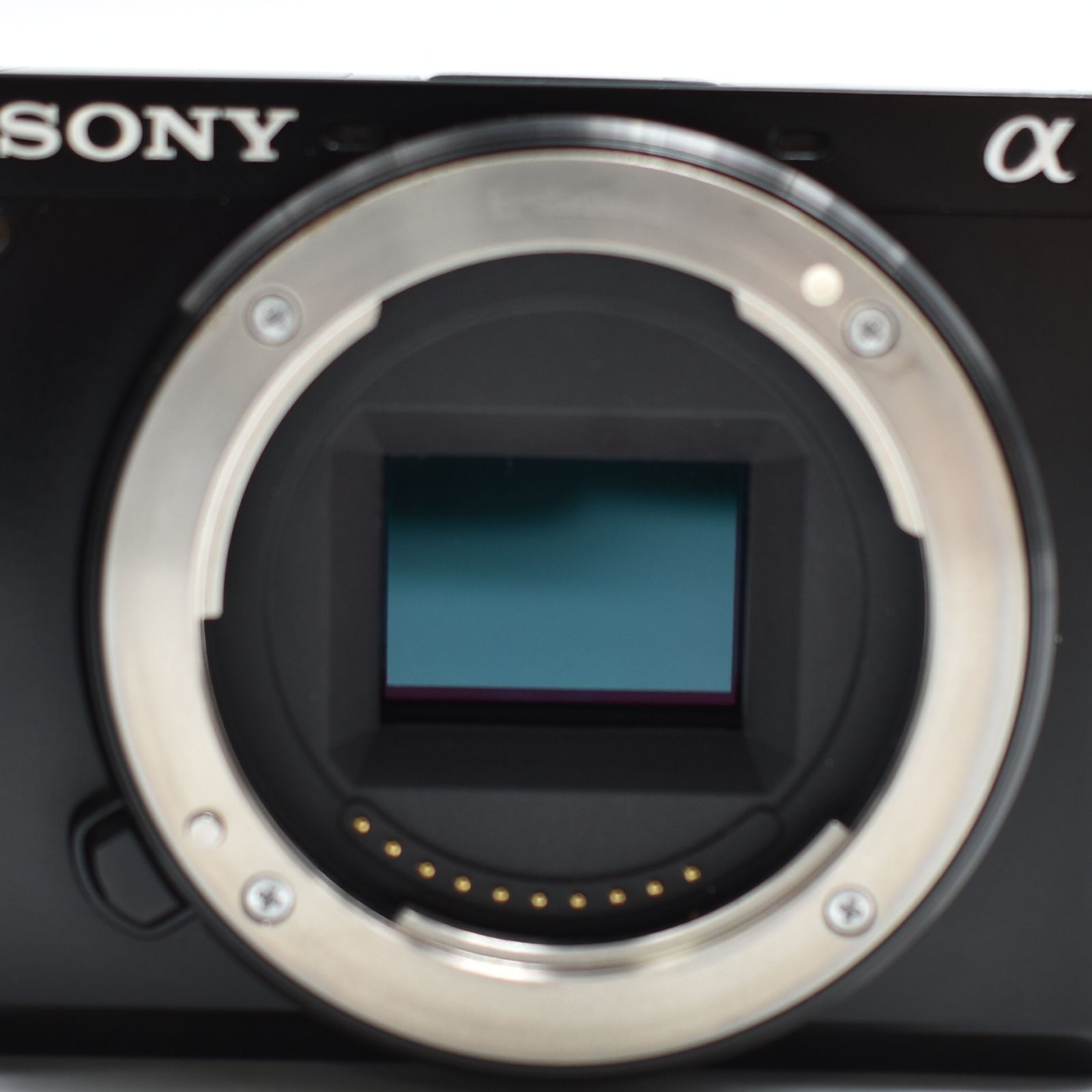 連写 リアルタイム瞳AF