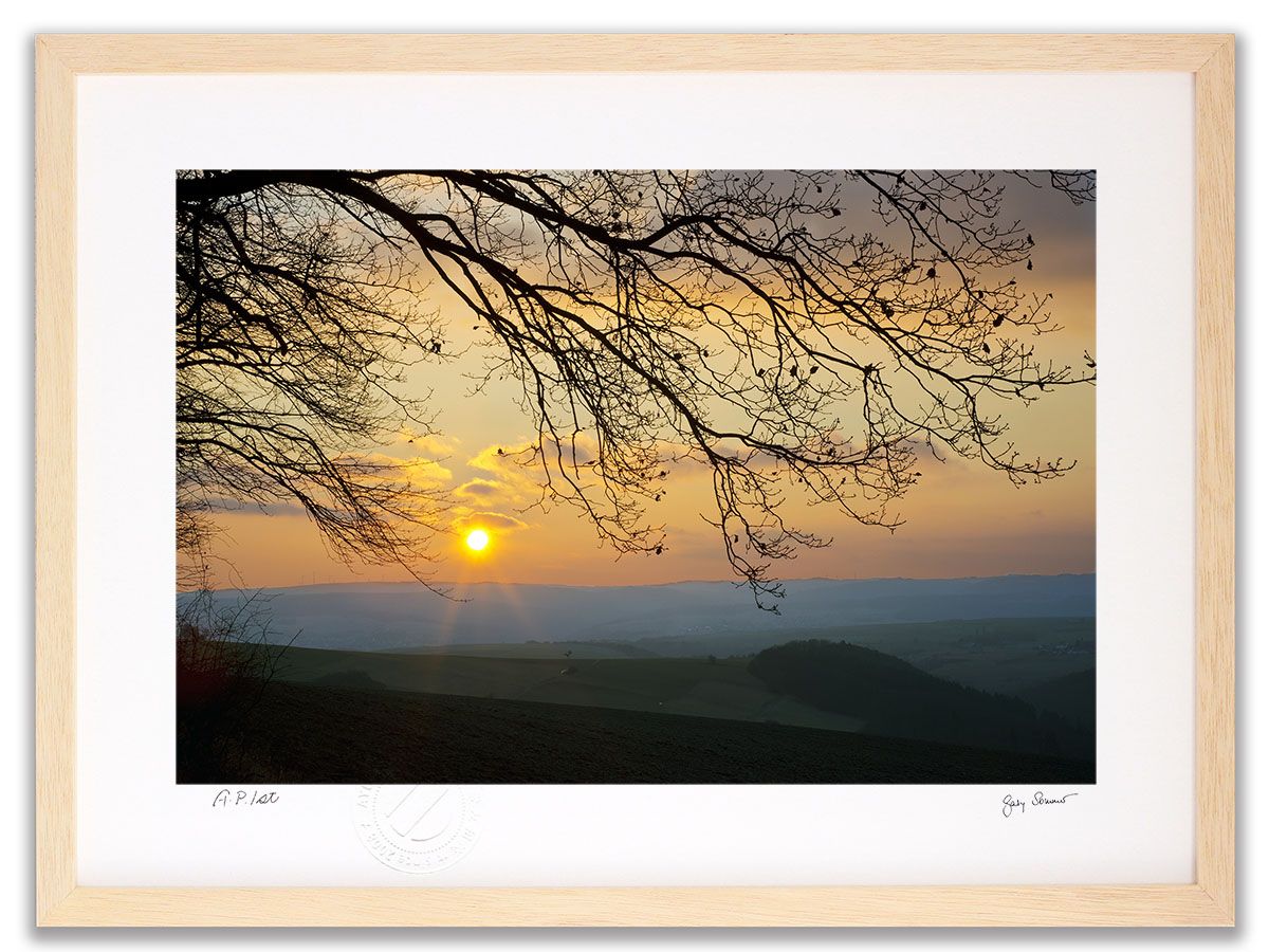 オリバーガル セリーヌ CHANEL 絵画 楽天市場】【OliverGal】オリバー