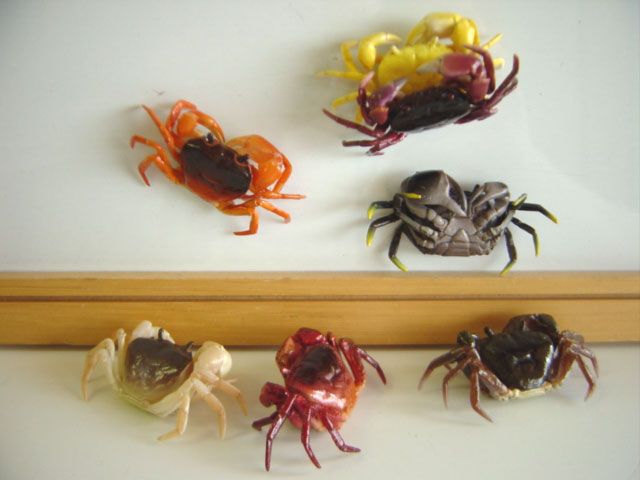 ♯Hvi03LJネイチャーテクニサワガニマグネットストラップ全14種