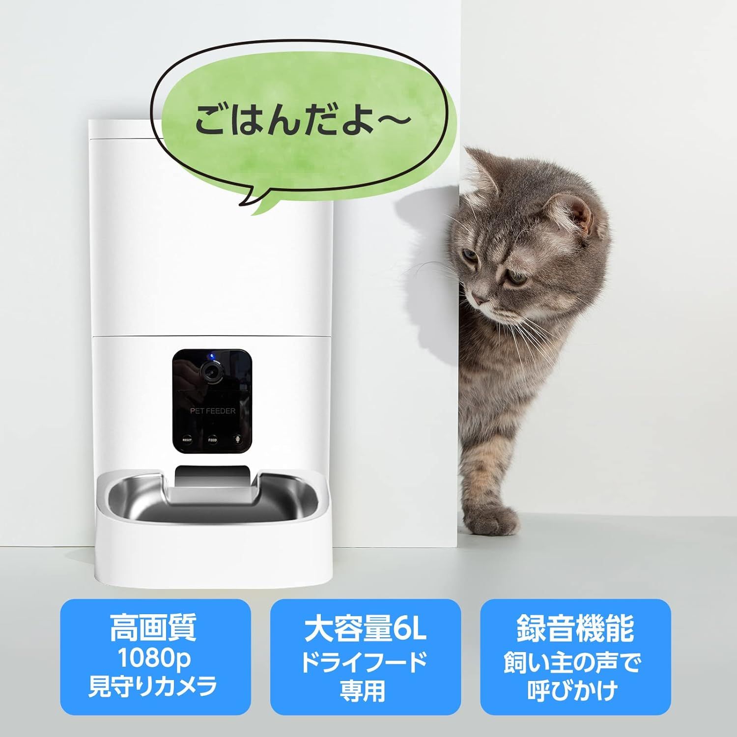 犬