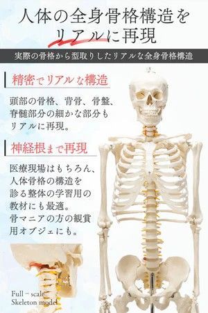 大学 病院