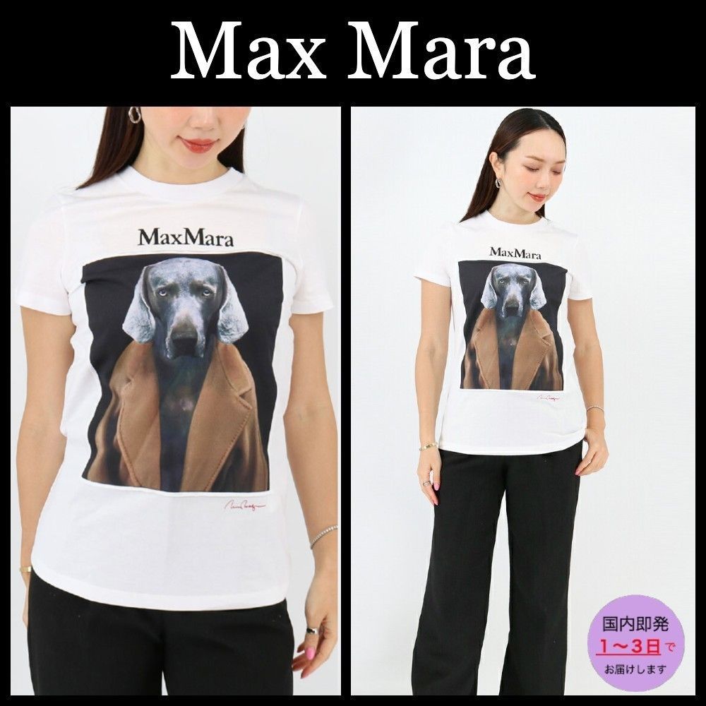 美品‼️Max Mara マックスマーラTシャツ Max Mara MAX MARA マックスマーラ Tシャツ MESSICO メキシコ