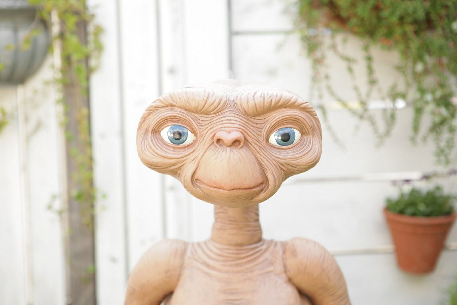 並行輸入品 『E.T.』プロップレプリカ：E.T.スタント パペット 高さ90cm NECA社製