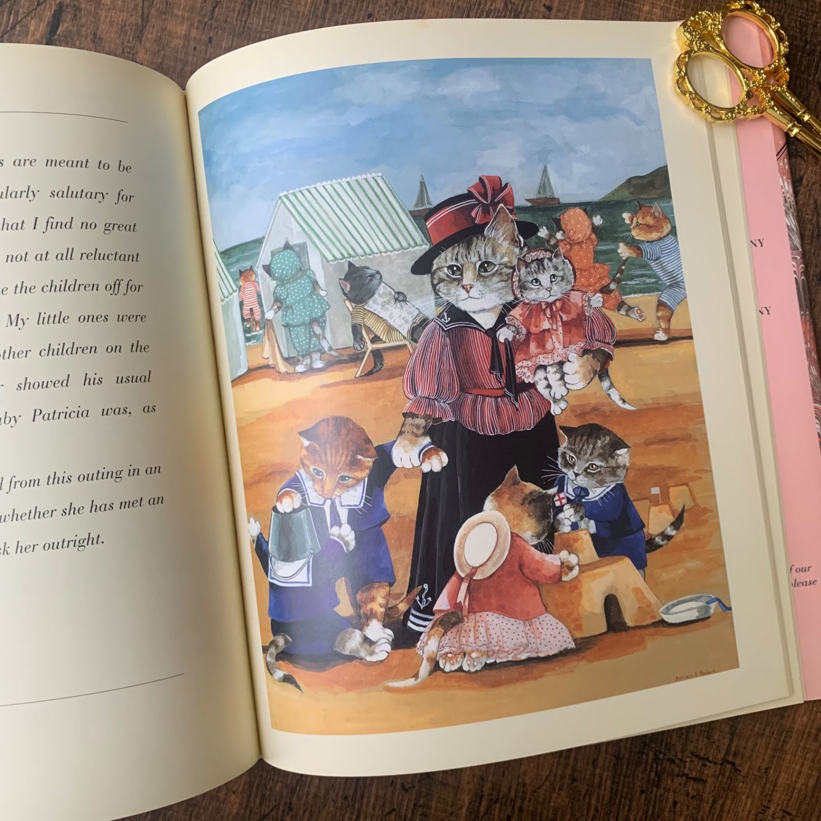 キュートな猫洋書　猫洋書　ヴィクトリアン洋書　猫写真洋書　猫ミニトランプ 猫好きさん必見】レトロ 洋書 Diary of a Victorian Cat