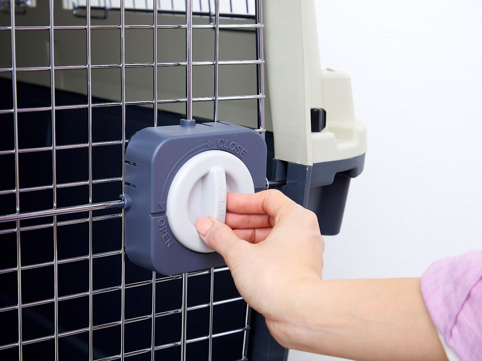 ハードキャリー 撮影時モデル犬が使用しております