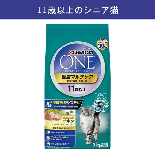 高齢猫
