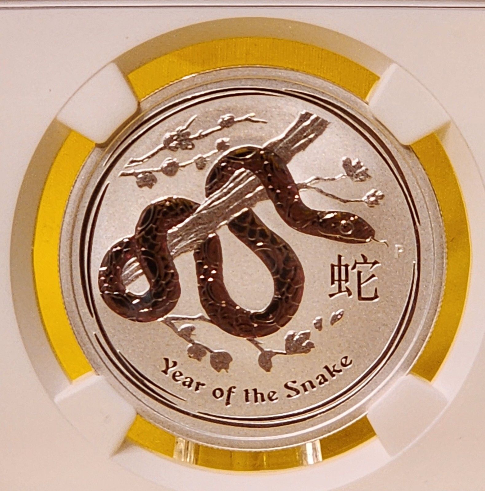 2013-P Atralia 50 Cents 1|2 oz Silver - Year of the Snake - NGC MS70