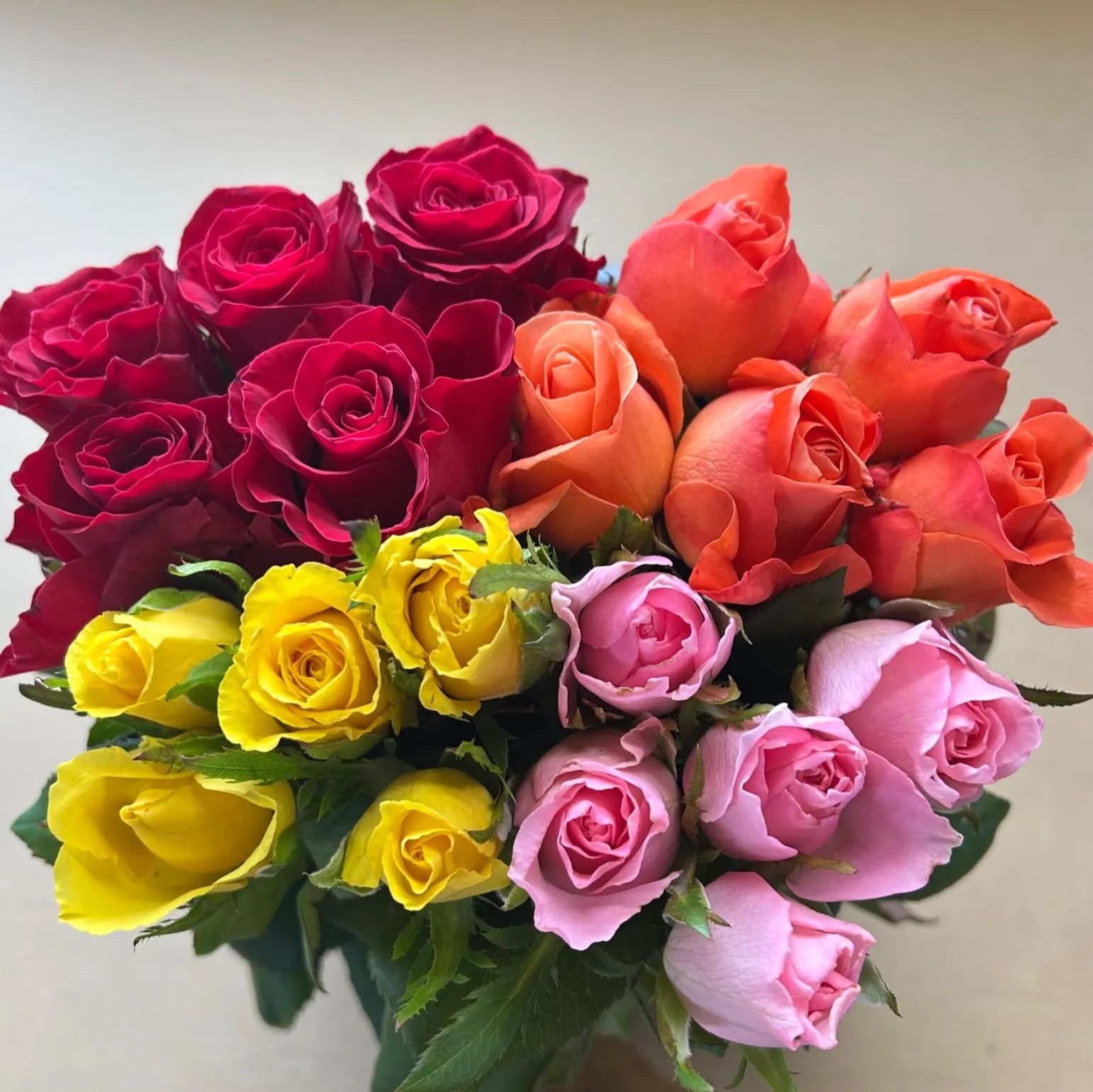 薔薇生花 まこペコ様専用 【公式通販】