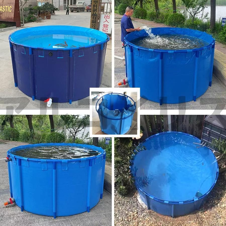 立体養魚池 水槽