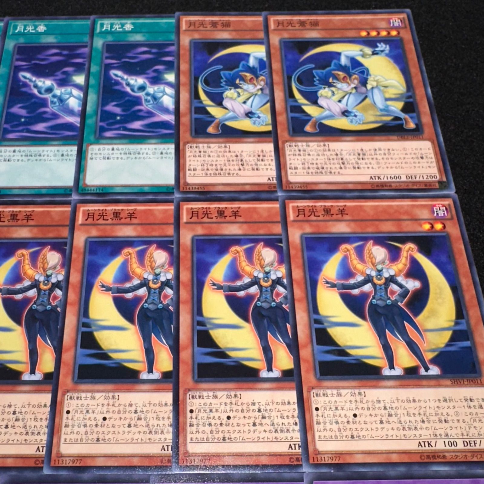 遊戯王】No.686 月光香 月光蒼猫 月光黒羊 月光舞猫姫 各5枚 計