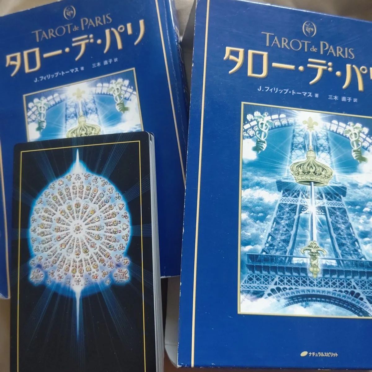 解説本タローデパリ カードとカード入れの袋と解説本 - 趣味/スポーツ/実用