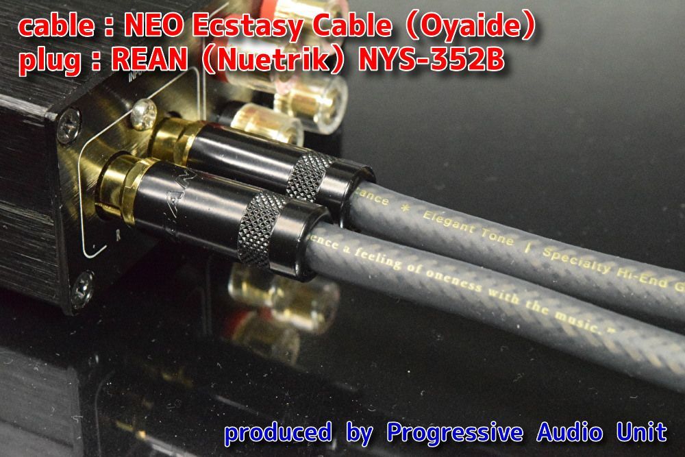 ☆ NEO Ecstasy Cable ＋ RCA（RE02）/0.45m×２本 - メルカリ