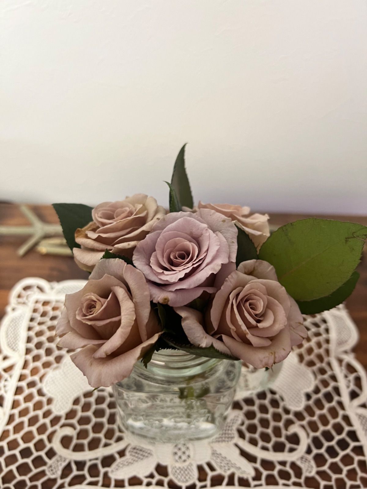 「Yami_rosé」切り花品種バラ苗　3点 Yami_rosé」切り花品種バラ苗 3点 Yami_rosé」切り花品種バラ苗