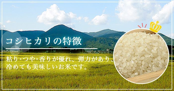 お米