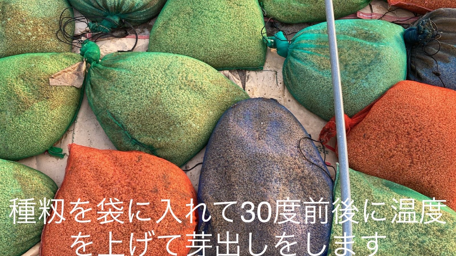 米