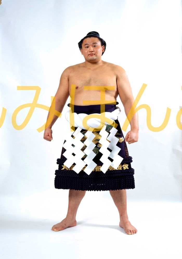 貴乃花光司関 優勝ミニ額 大相撲ミニ額 大相撲優勝額 平成８年３月場所 優勝 横綱 貴乃花光司関（１２回目の優勝） ※受注生産品のため、ご注文後はいかなる理由でも返品、返金はできません