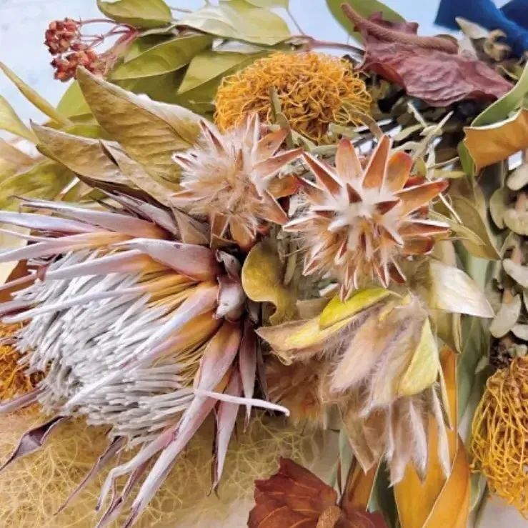 3種の紫陽花とワイルドフラワーのシーズンスワッグ橤 ボタニカル ＆ アースカラーの通販 by atelier橤Moët｜ラクマ |  zoneinproducts.com
