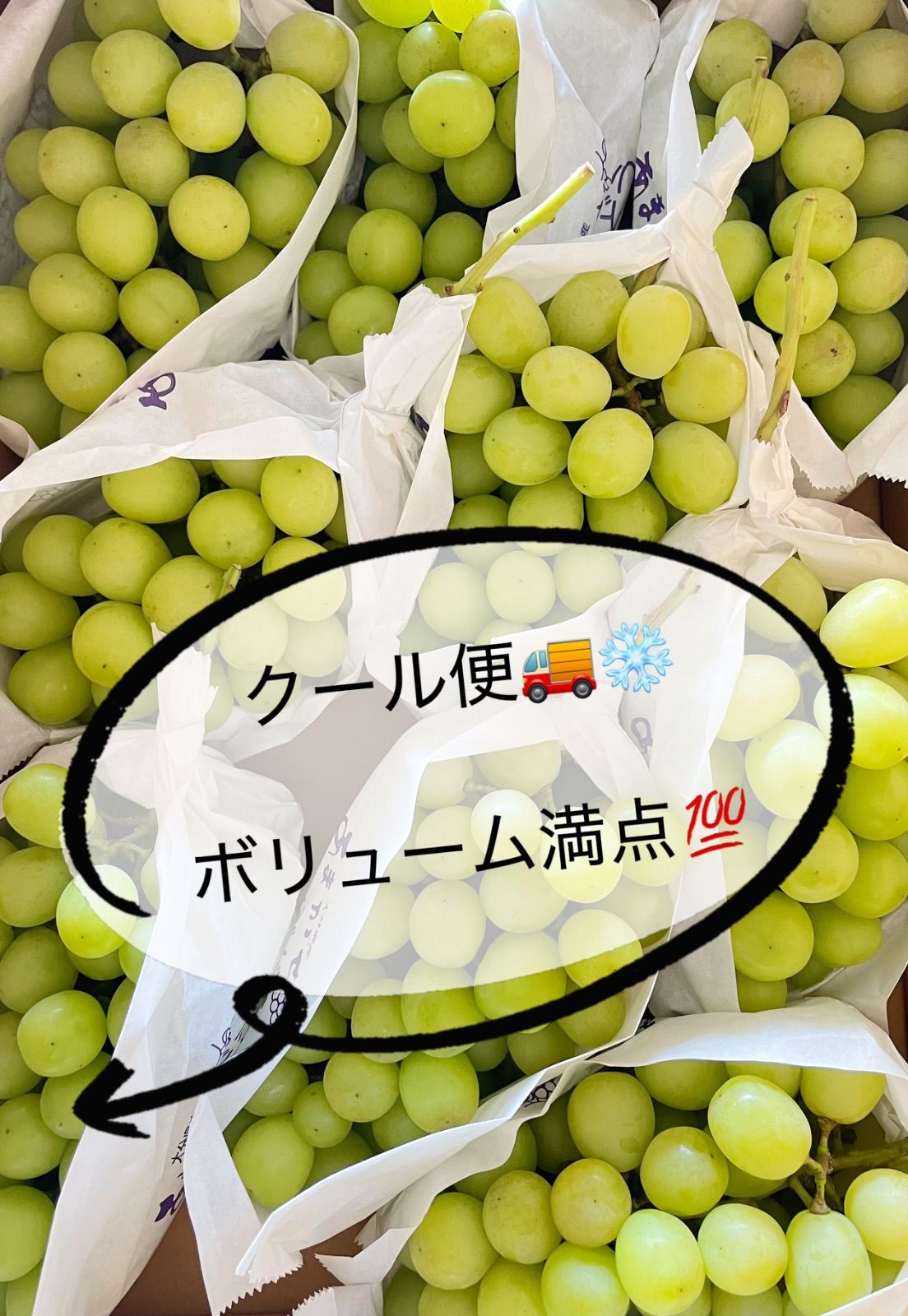 4 売り切りセール！クール便込み○贈答用○シャインマスカット　５ｋｇ以上入ります 4 売り切りセール！クール便込み○贈答用○シャインマスカット