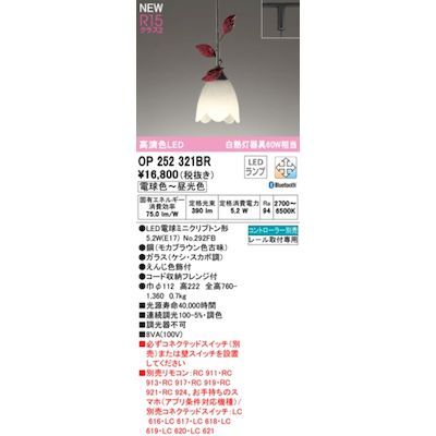 【新品・7営業日以内発送】オーデリック ODELIC OP252321BR ランプ別梱包【沖縄離島販売不可】