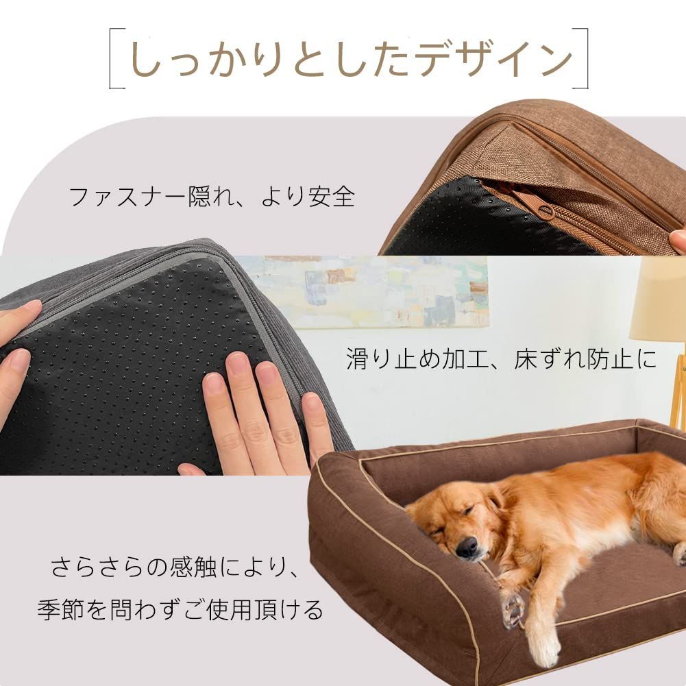 大型犬