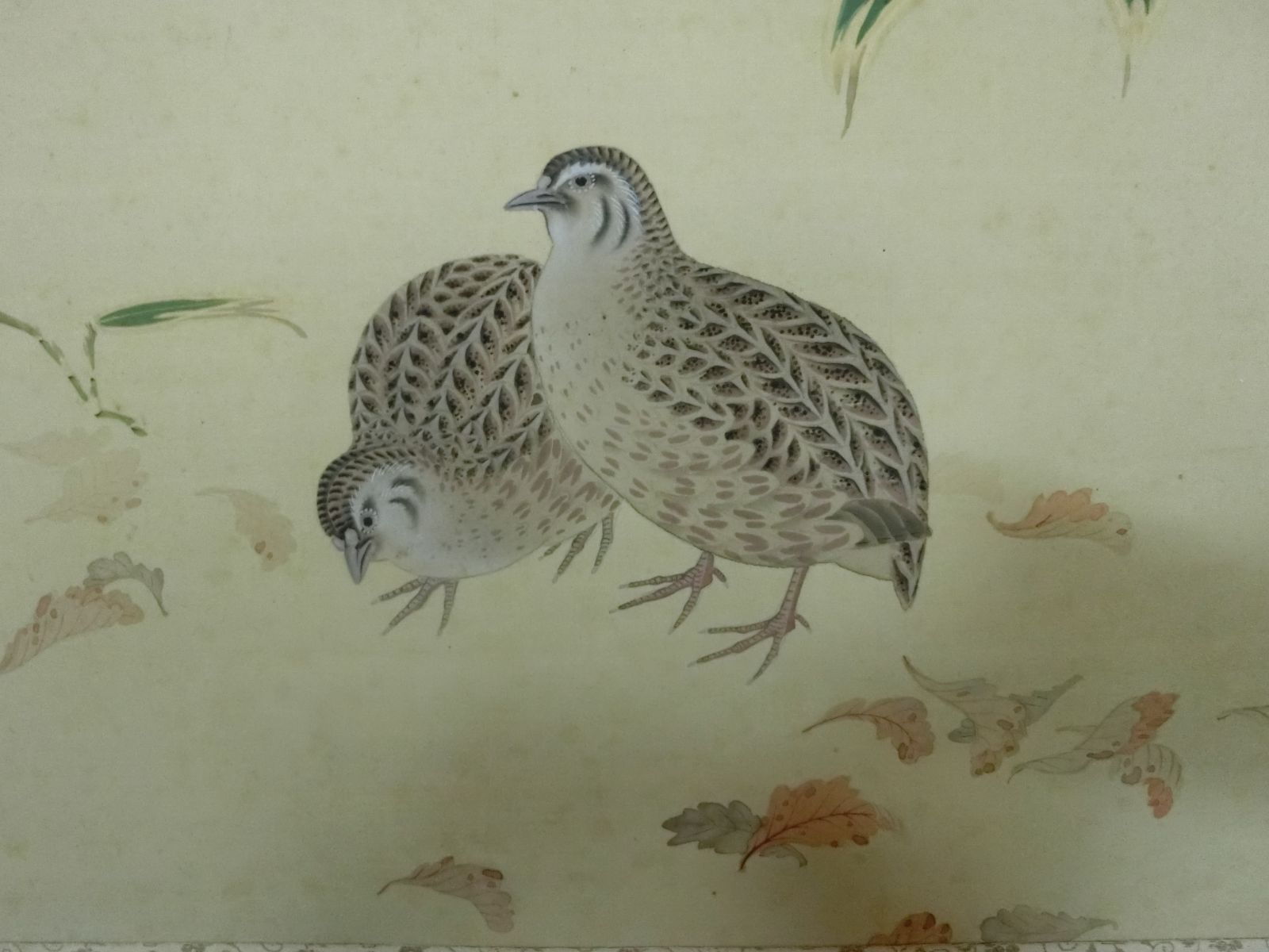 掛軸 杉『林間鶴帯雲還』絹本 肉筆 箱無し 掛け軸 m09221 掛軸 杉