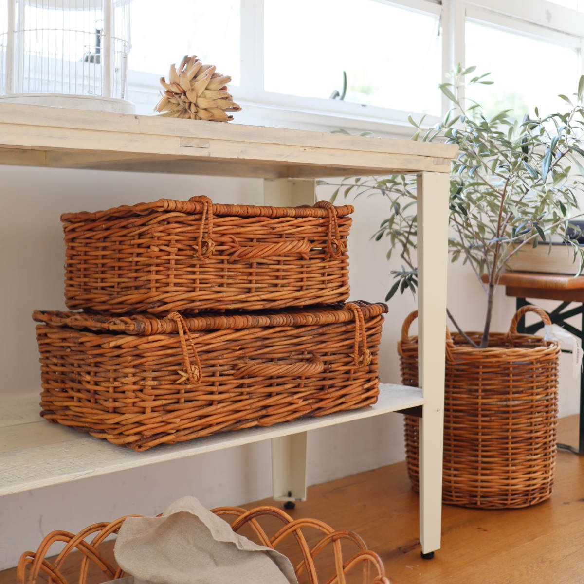 バスケット アラログ バゲッジバスケットL ラタン （ かご 収納 皮