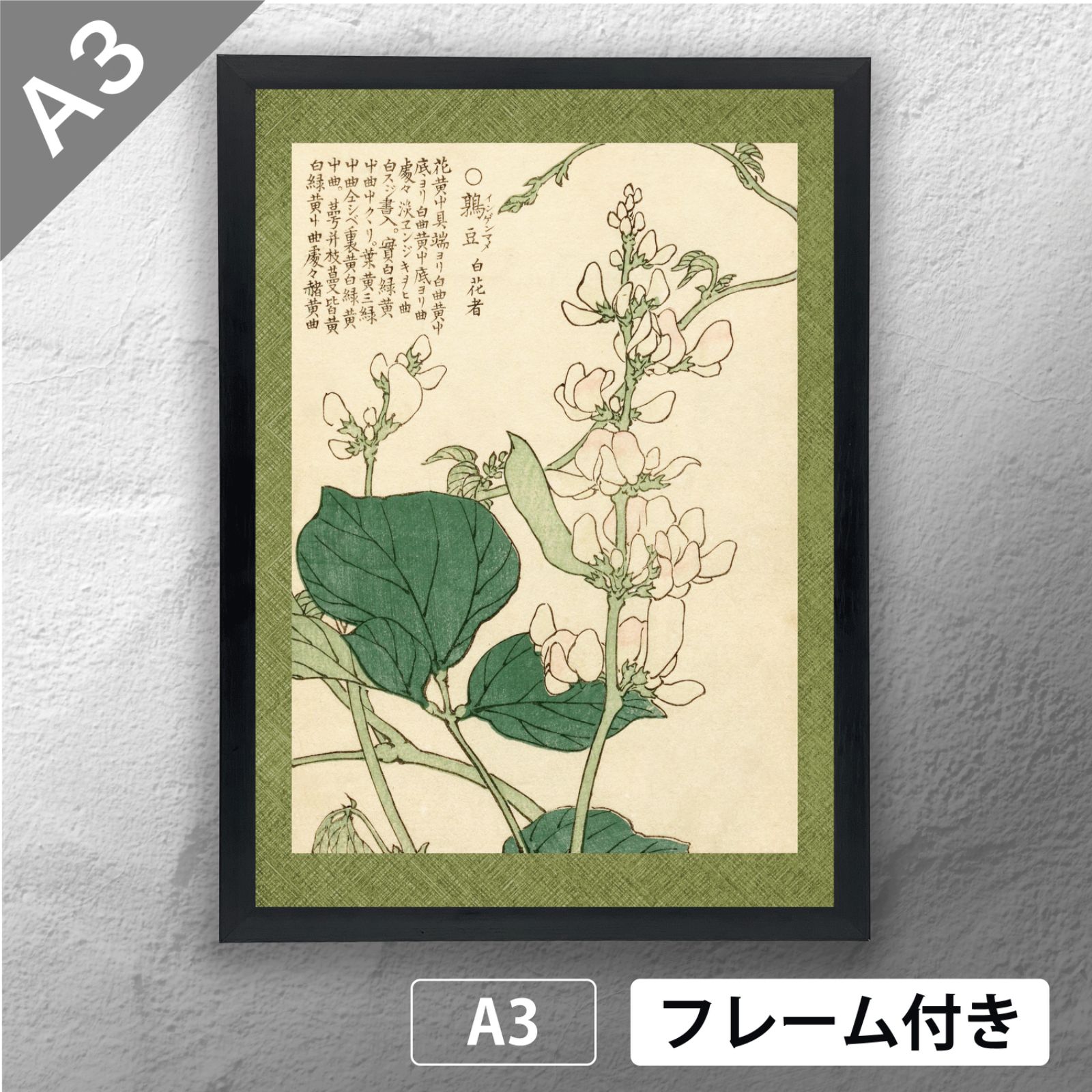 【絵画】ボタニカルアート「ブーゲンビレア」　原画 絵画】ボタニカルアート「ブーゲンビレア」原画