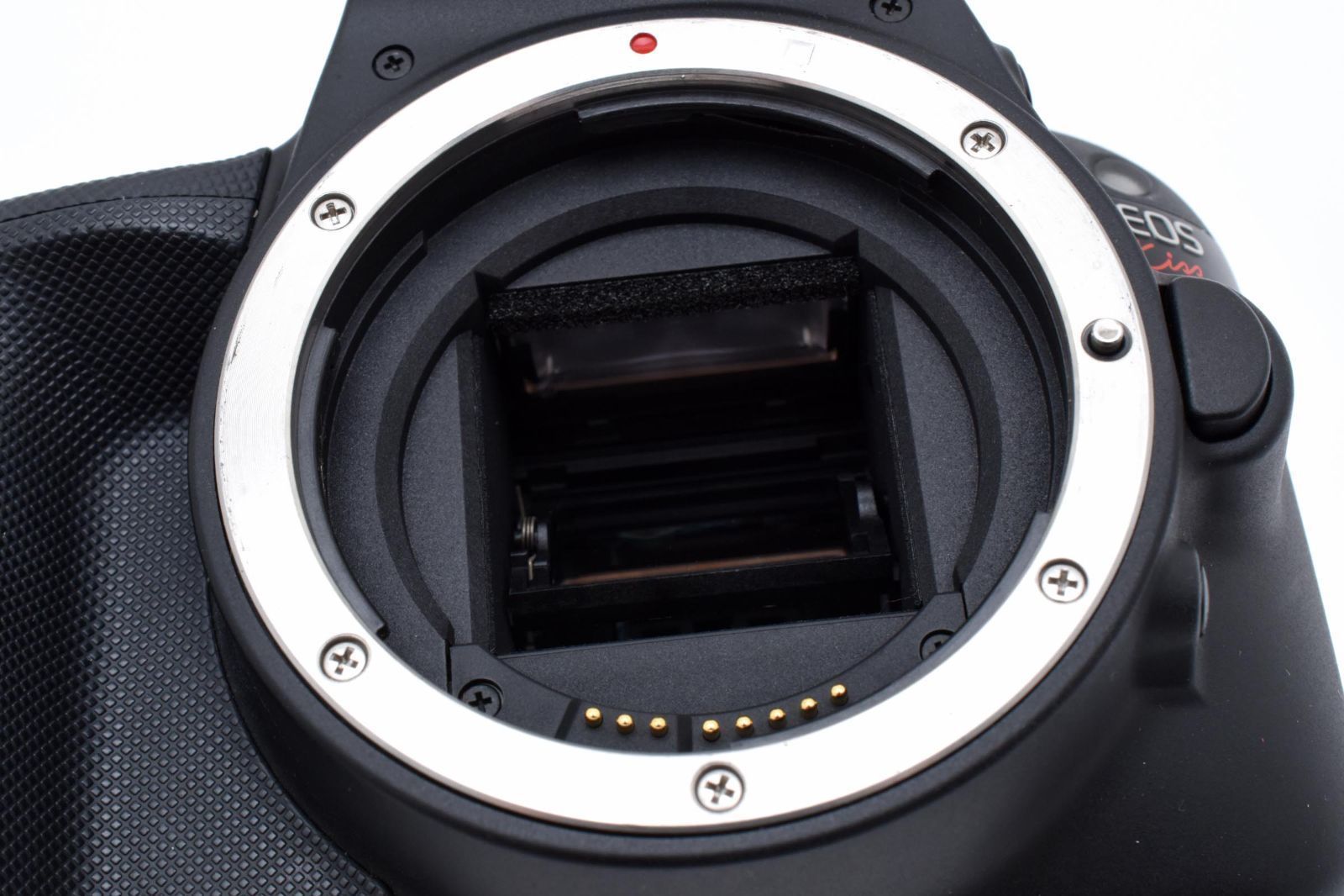 ダブルズームキット