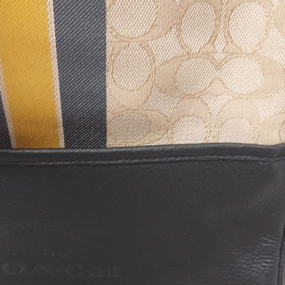 COACH(コーチ) リュックサック トンプソン バックパック