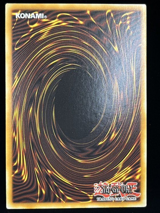 【希少】遊戯王 ARS10+ 賜炎の咎姫 プラチナムシークレット 英語版 遊戯王 英語 北米版 賜炎の咎姫 25thシークレットレア 1st