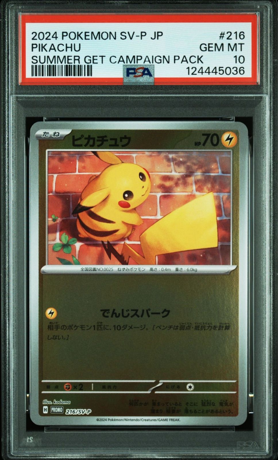 【PSA10】ピカチュウ プロモ SV-P 216 夏がキタ！ PSA10】ピカチュウ ポケカの夏がキタ！ プロモ 216/SV-P - メルカリ