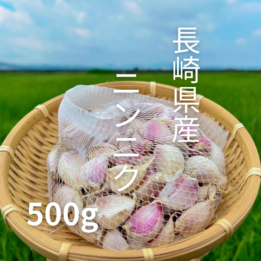 長崎県産　乾燥にんにく　バラ500g 農家直送　クリックポスト