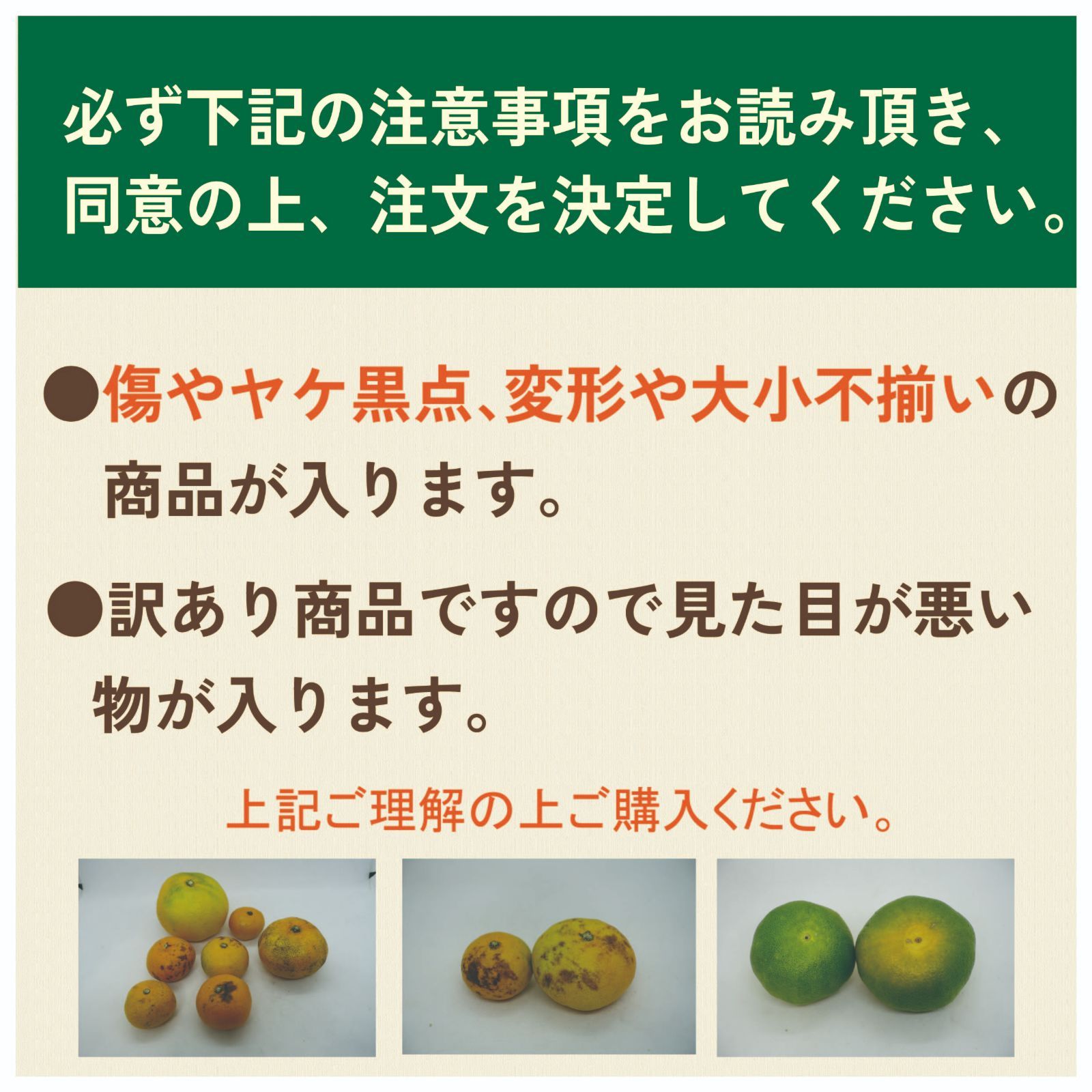 【超お買い得】愛媛県産　訳あり旬の柑橘詰め合わせ５ｋｇ補償有-1