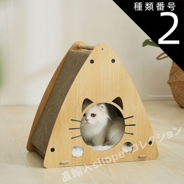 公式 希少② オリックスホーン 鹿の角 検索）一角獣 オウムガイ