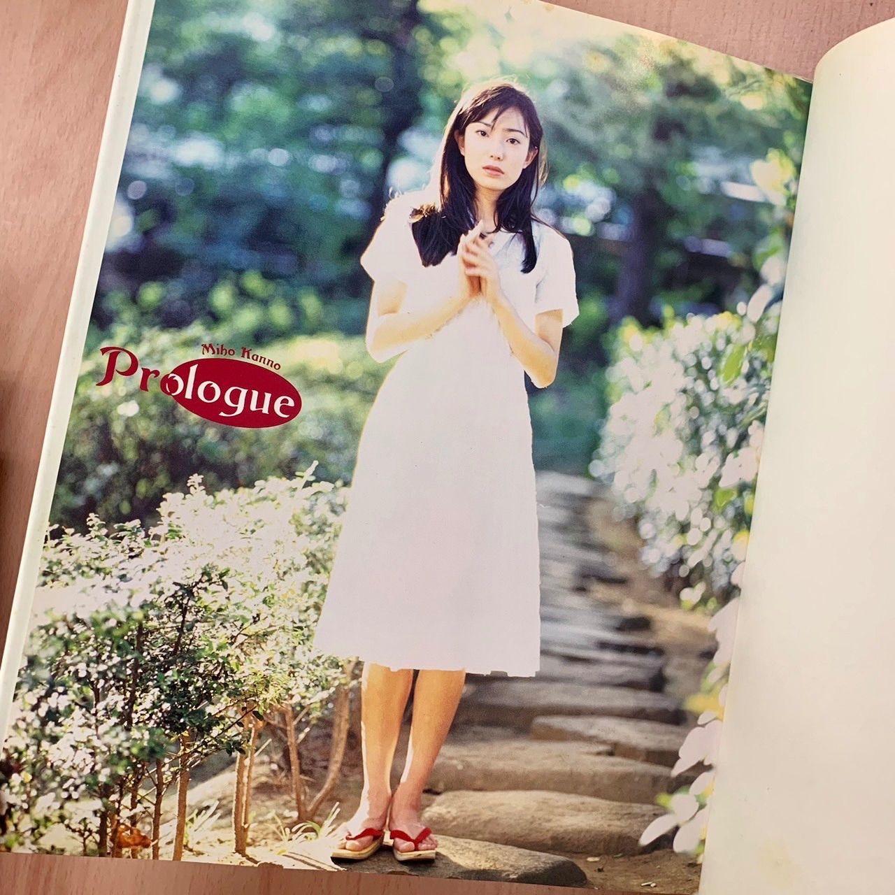 新品未開封 K-FILES アップトゥーボーイ特別編集 菅野美穂 写真集 菅野美穂 写真集 K-Files アップトゥボーイ特別編集 付録