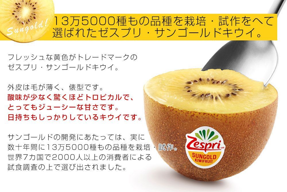 ゼスプリ＞サンゴールドキウイ 約3kg 22~25玉前後 産地箱 大玉