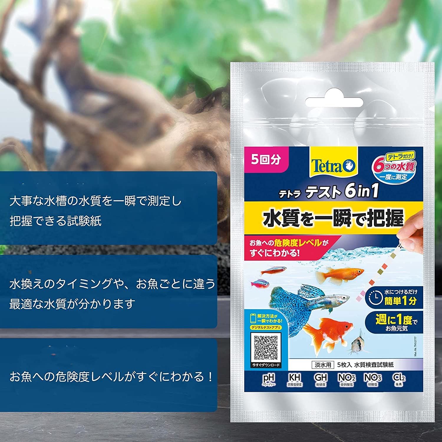 テトラテスト　６ｉｎ１　水質検査試験紙（淡水用）×６個　沖縄別途送料