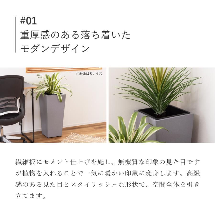 観葉植物
