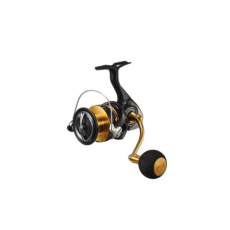 ダイワ 早霧・硬調63MC 58～63ズーム 美品 渓流竿