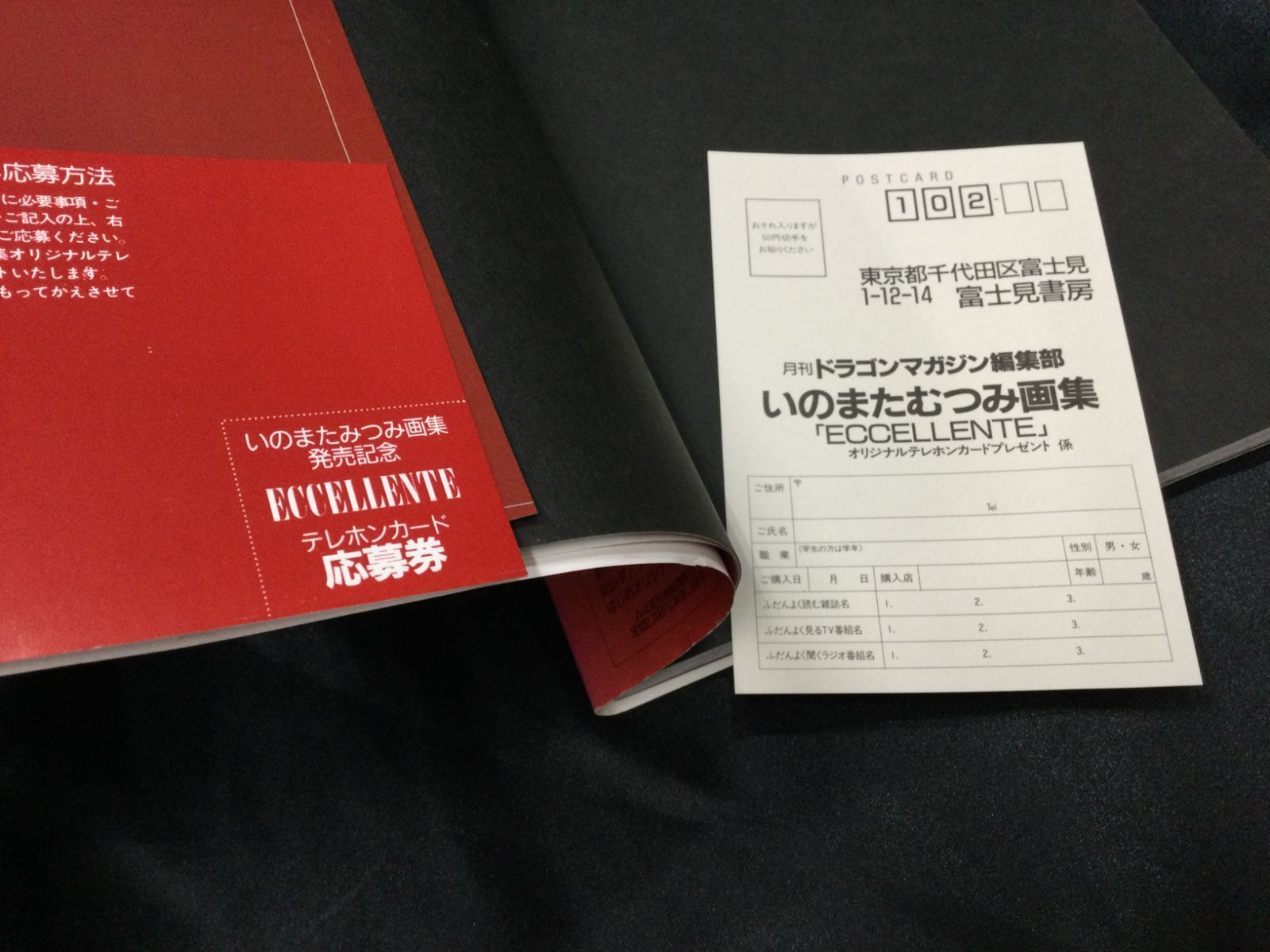 ☆ いのまたむつみ 画集 ポスター、ハガキ 付 ECCELLENTE