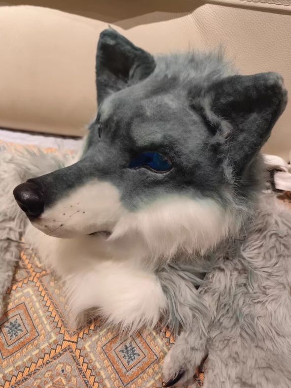 着ぐるみヘッド 犬 ライトブルー ケモノ ファースーツ ファースーツ 着ぐるみセット NO.144 青 ブルー 犬 ケモノ